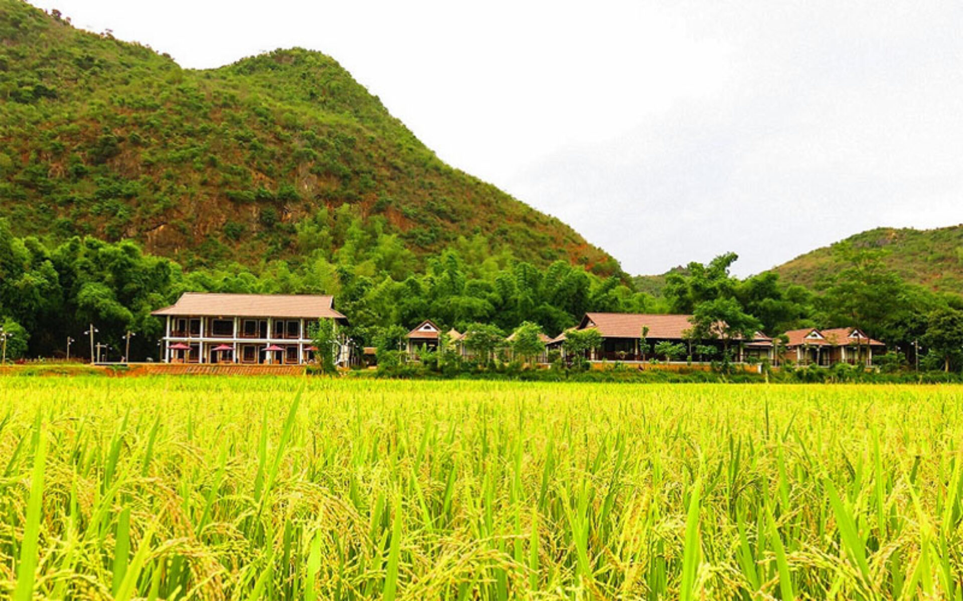 Hotel Sol Bungalows Resort Mai Chau Original Asia Rondreis Vietnam Vakantie