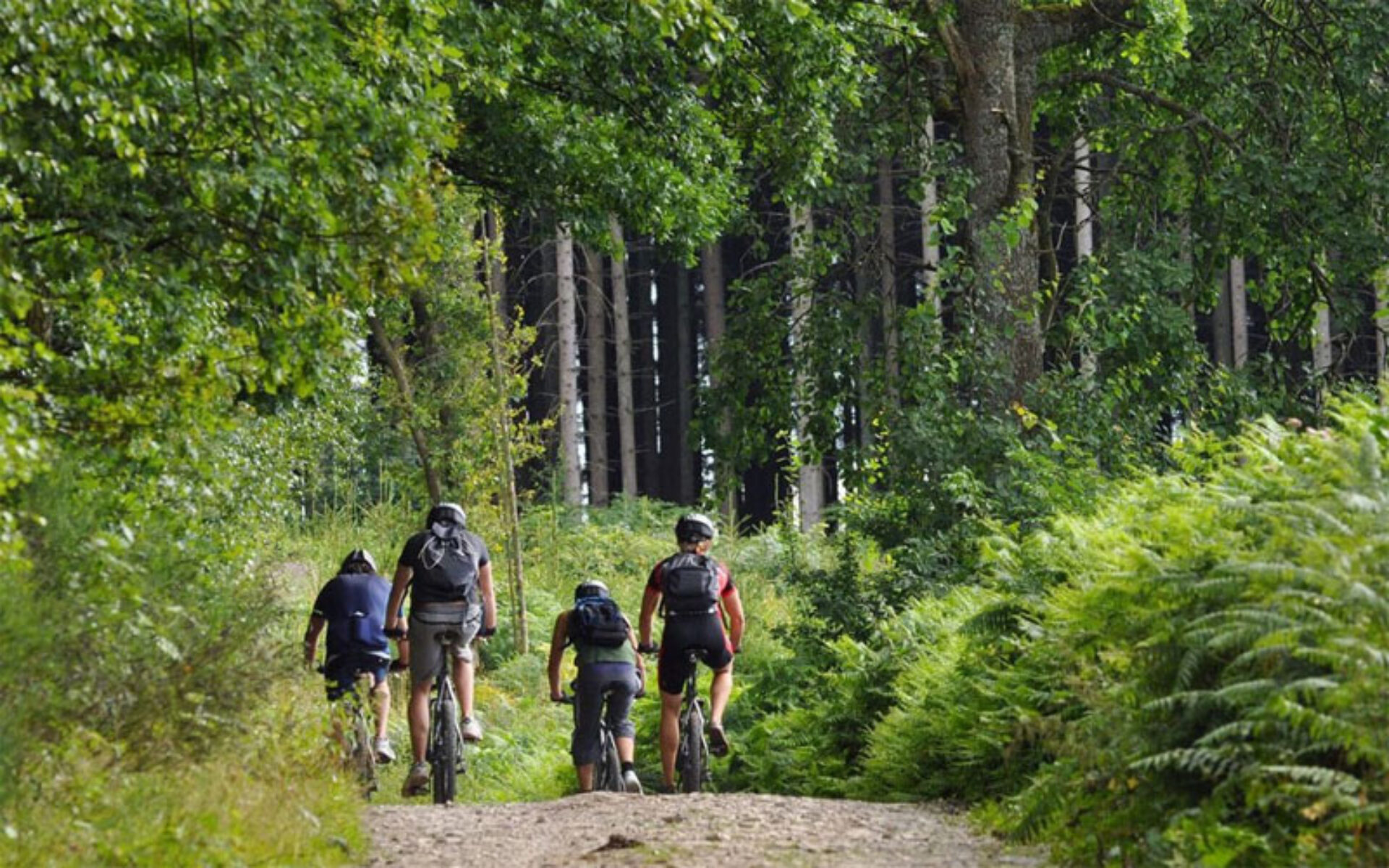 indonesie rondreis vakantie java hotel jiwa jawa ijen resort original asia resort