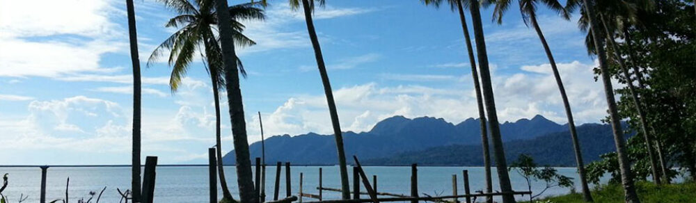 Hotel D Coconut Lagoon Resort Pulau Lang Tengah Original Asia Rondreis Maleisië Vakantie