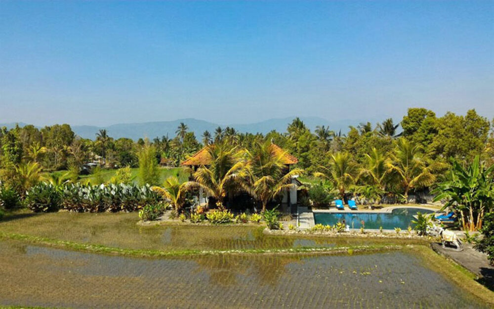 Atres Villa Hotel Munduk Rondreis Bali Vakantie Original Asia