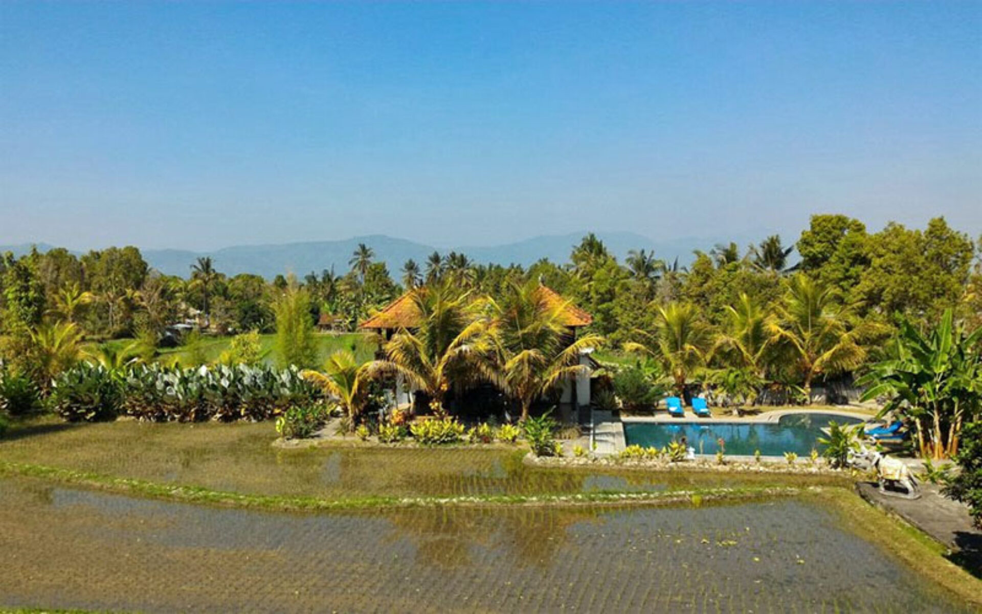 Atres Villa Hotel Munduk Rondreis Bali Vakantie Original Asia