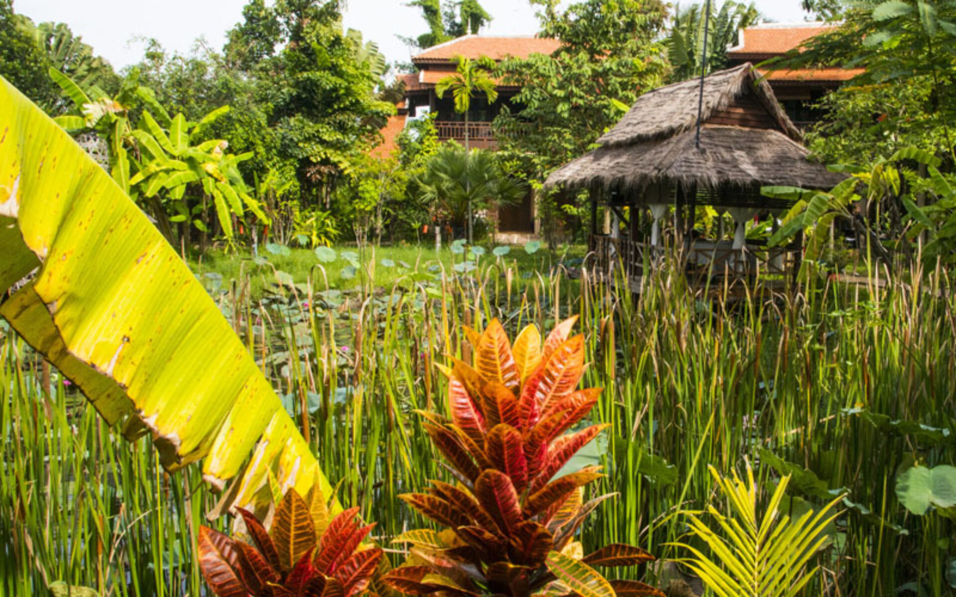 Maison Wat Kor Boutique Khmer Houses Hotel Battambang Rondreis Cambodja Vakantie Original Asia