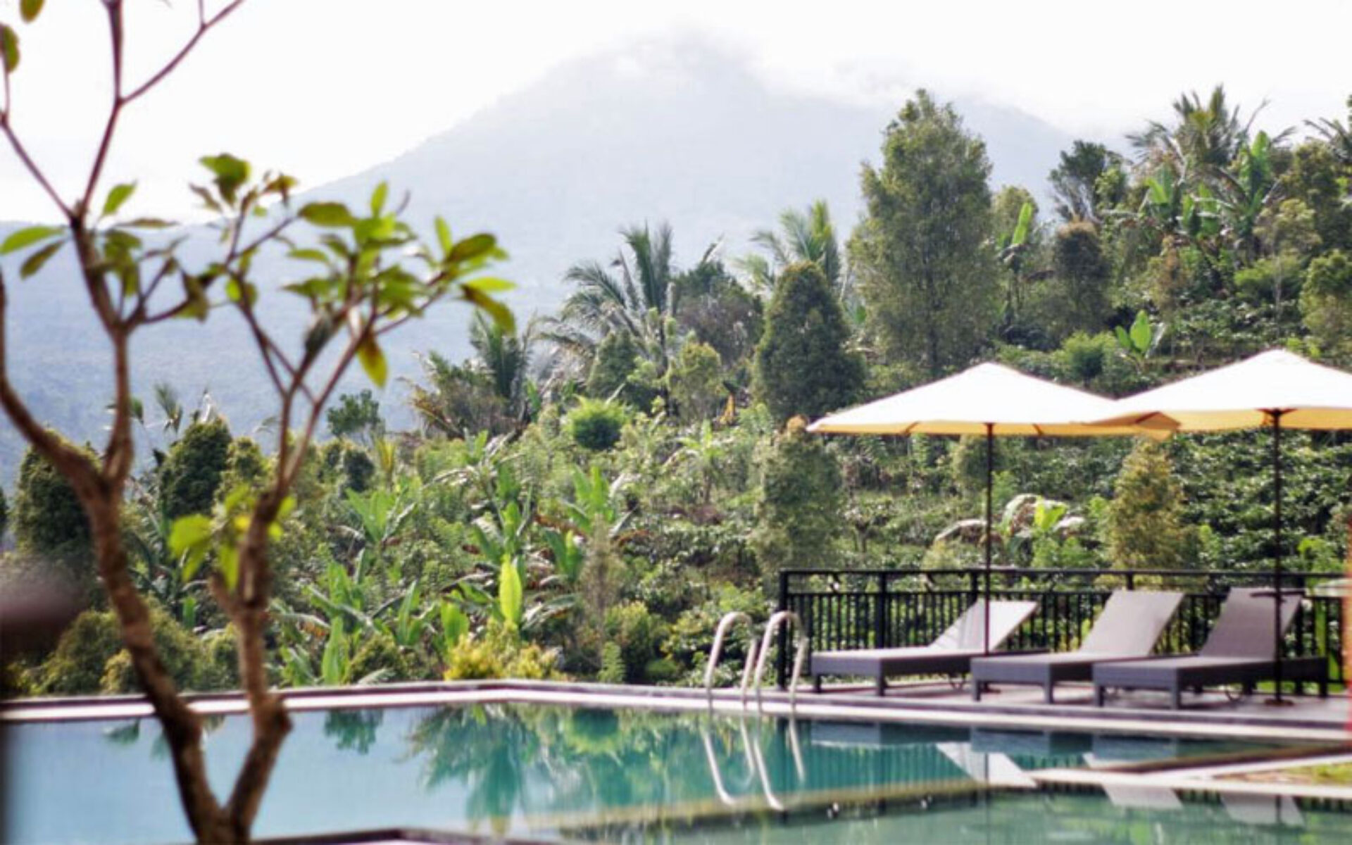 Atres Sari Resort Munduk Hotel Rondreis Bali Vakantie Original Asia