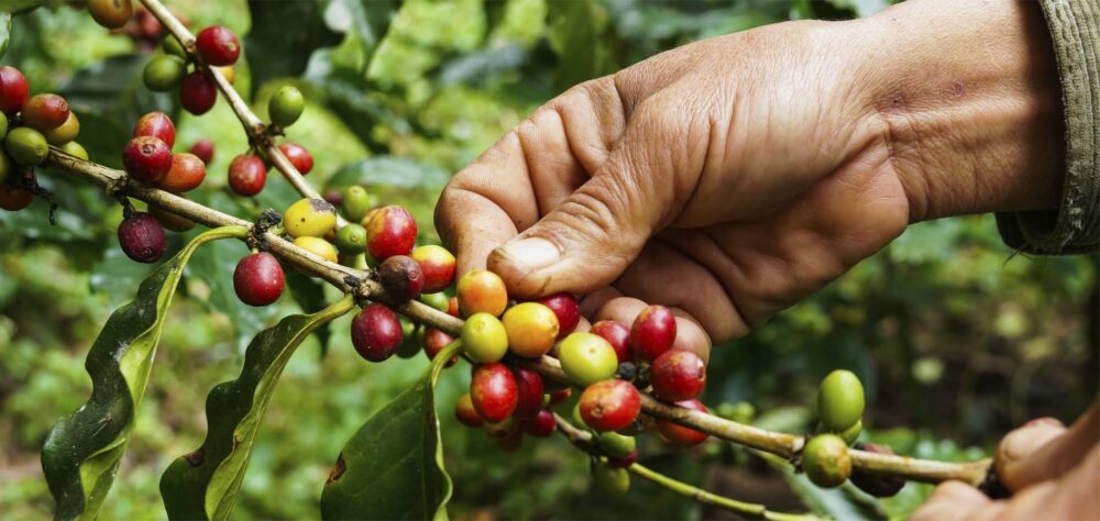 Home 1900x900 Indonesie Istock Java Oost Bromo sunrise zonsopkomst ondergang sunset mooi rood