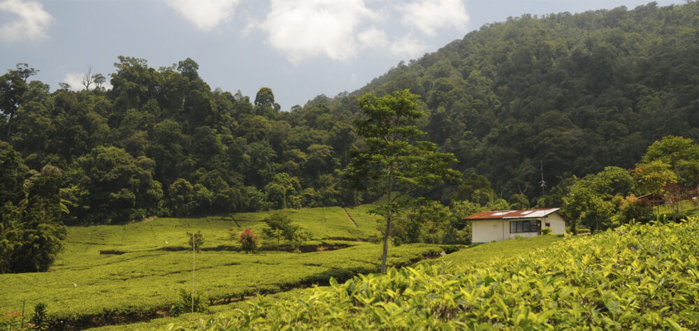 Home 1900x900 Indonesie Istock Java Oost Bromo sunrise zonsopkomst ondergang sunset mooi rood