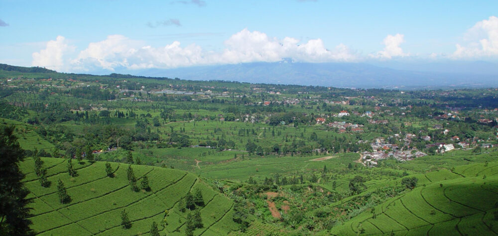 Home 1900x900 Indonesie Istock Java Oost Bromo sunrise zonsopkomst ondergang sunset mooi rood