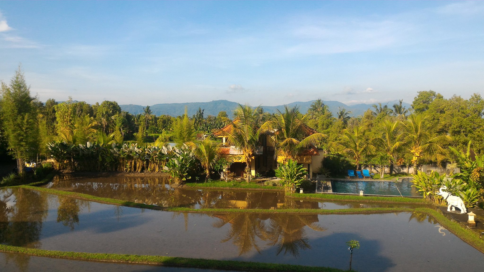 Atres Villa Hotel Resort Munduk Original Asia Indonesie Rondreis Bali Vakantie aerial