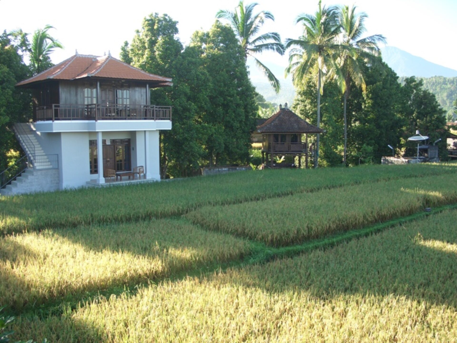 Atres Villa Hotel Resort Munduk Original Asia Indonesie Rondreis Bali Vakantie aerial