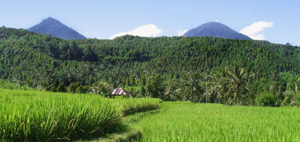 Home 1900x900 Indonesie Istock Java Oost Bromo sunrise zonsopkomst ondergang sunset mooi rood