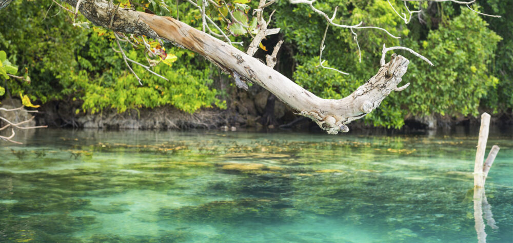 Home 1900x900 Indonesie Istock Java Oost Bromo sunrise zonsopkomst ondergang sunset mooi rood