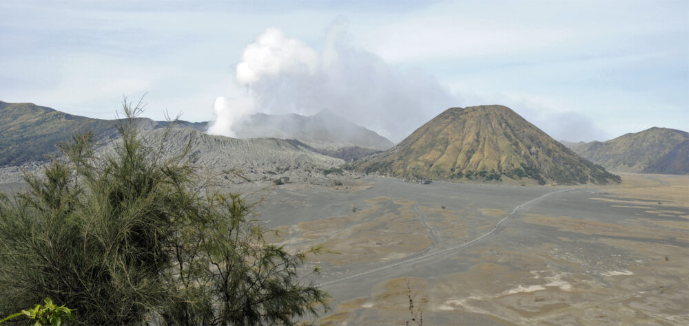Home 1900x900 Indonesie Java Oost Bromo vlakte natuur tour maanlandschap
