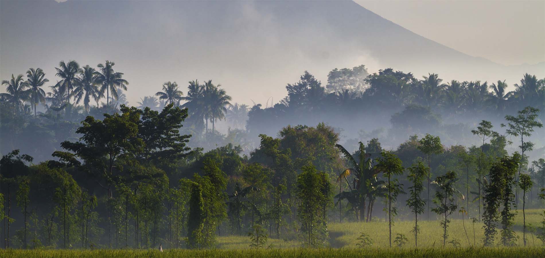 Home 1900x900 Istock Indonesie Lombok Noord Senaru Tetebatu Rinjani vulkaan landschap rijstvelden uitzicht tetebatu