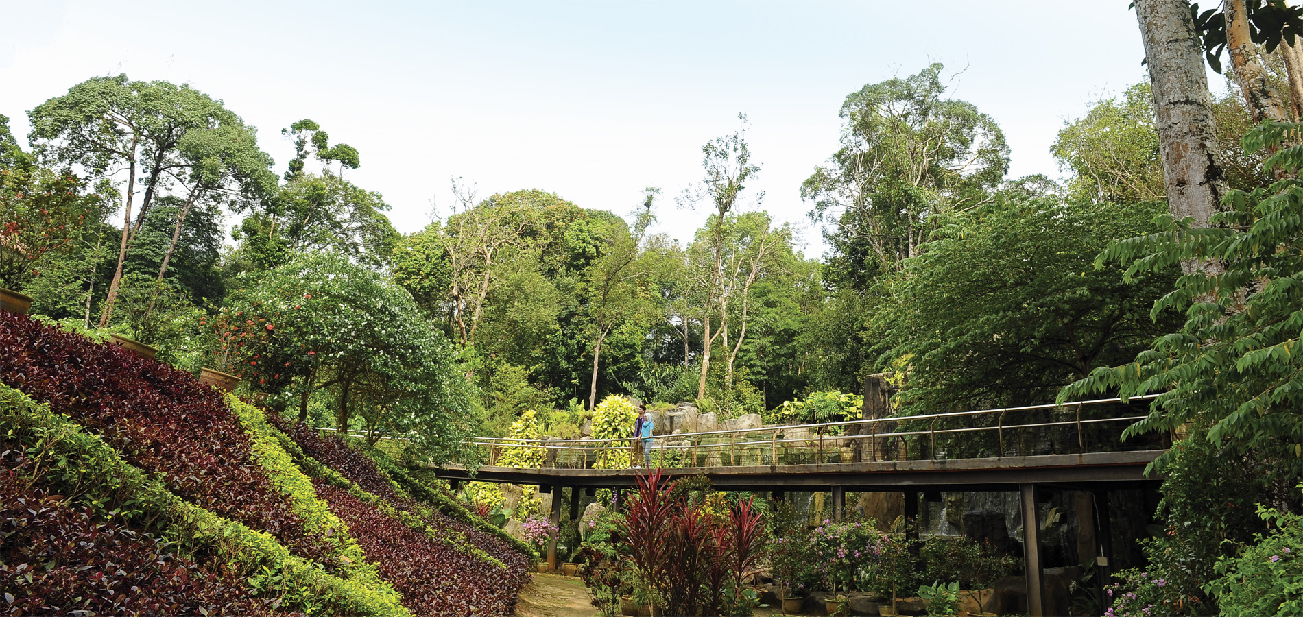 Home 1900x900 Maleisie West-Maleisie Melaka Malacca botanische tuinen natuur