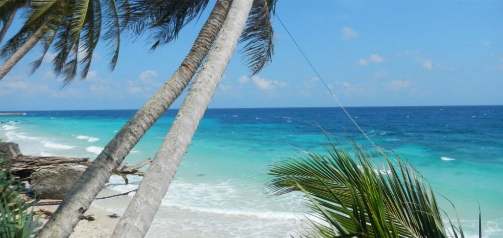 Home 1900x900 Indonesie Sumatra orang oetan bukit lawang