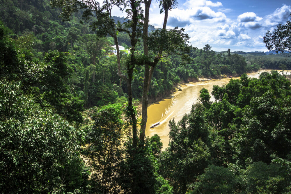 Plantation in Cameron Highlands, Malaysia