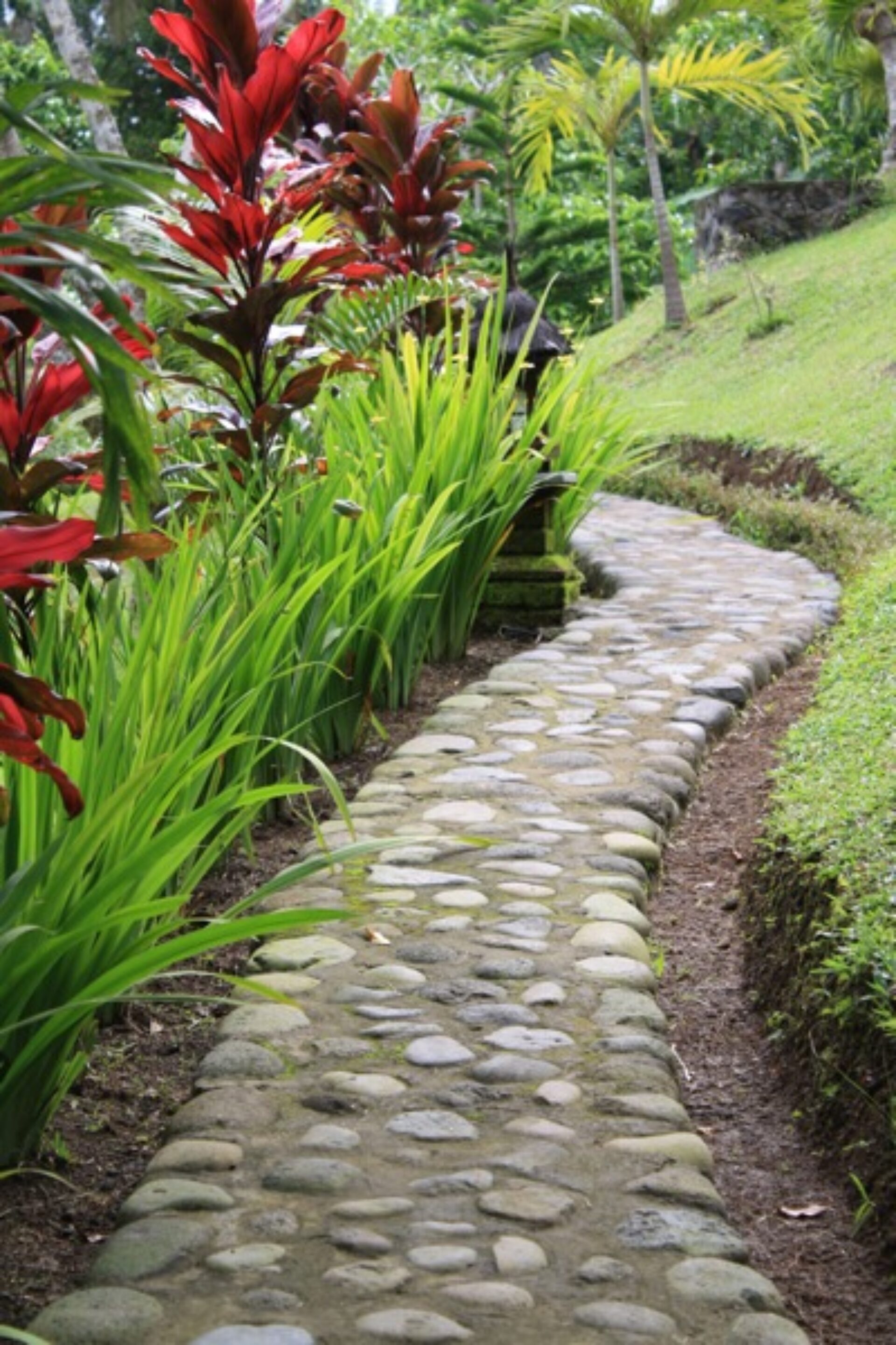 Kebun Villa Original Asia Belimbing vakantie Rondreis Bali aerial