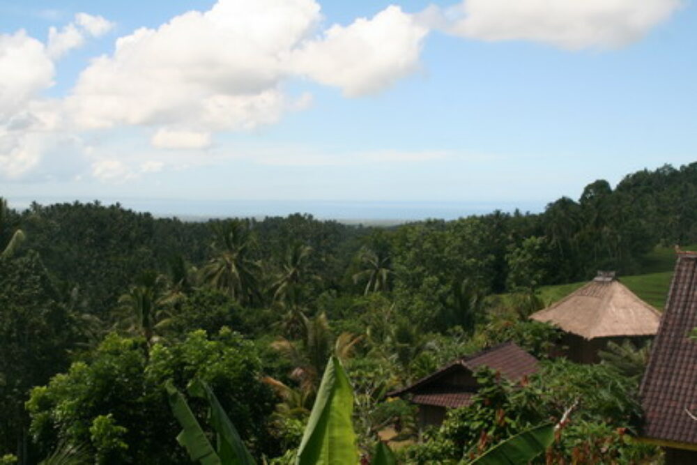 Kebun Villa Original Asia Belimbing vakantie Rondreis Bali pad