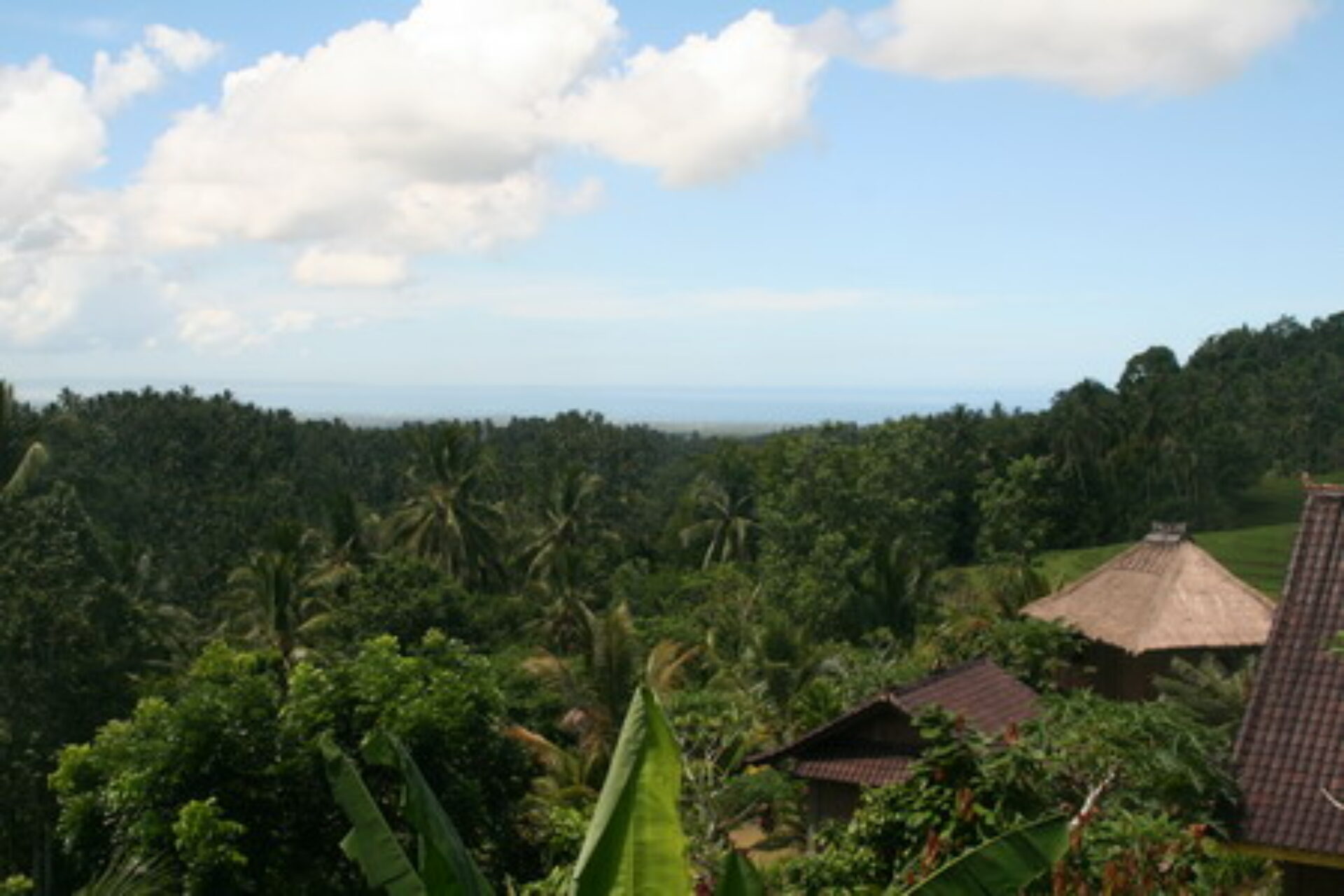 Kebun Villa Original Asia Belimbing vakantie Rondreis Bali pad