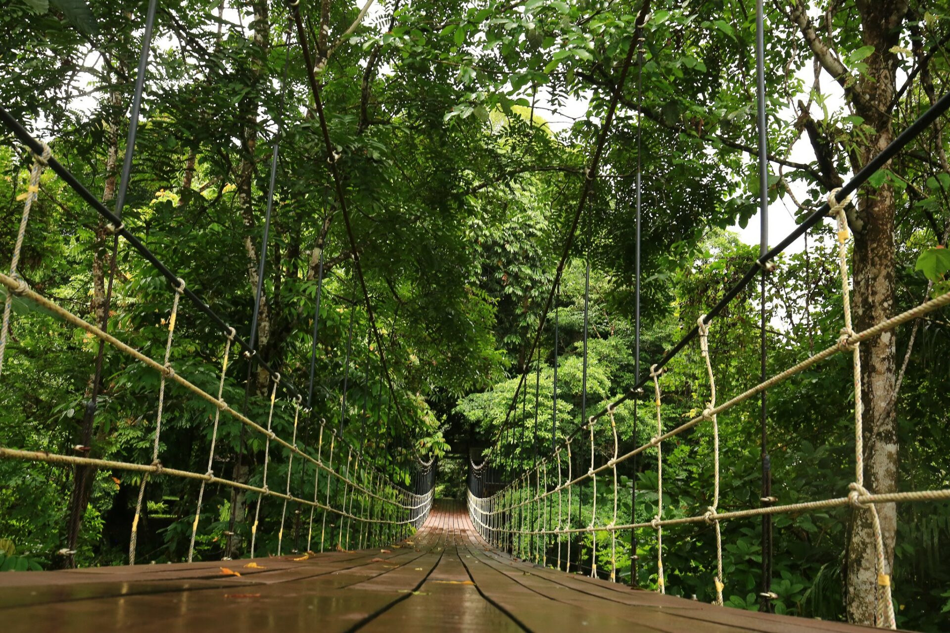 Mulu National Park Headquarters Sarawak Rondreis Malaysia Vakantie Original Asia
