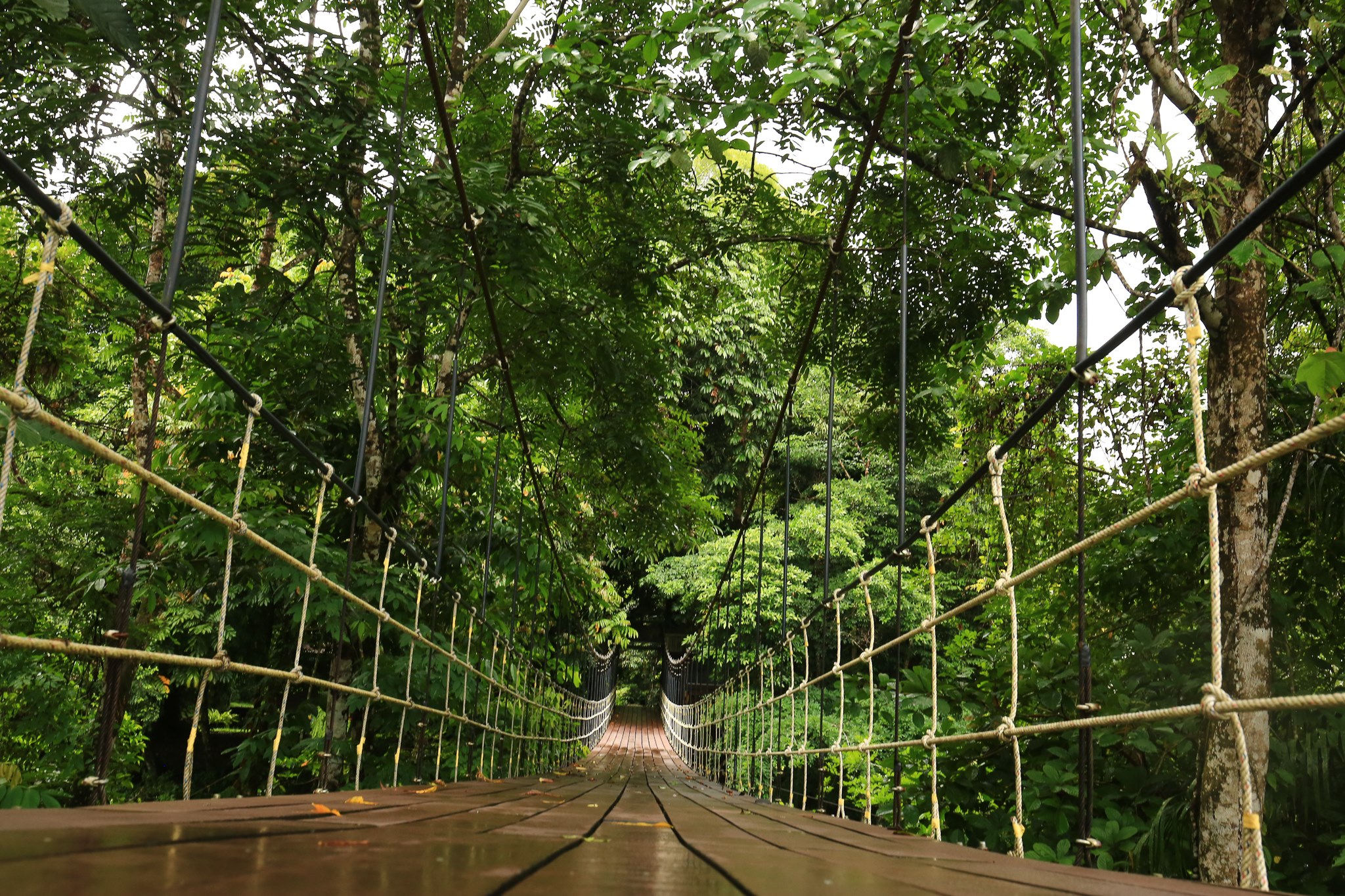 Mulu National Park Headquarters Sarawak Rondreis Malaysia Vakantie Original Asia