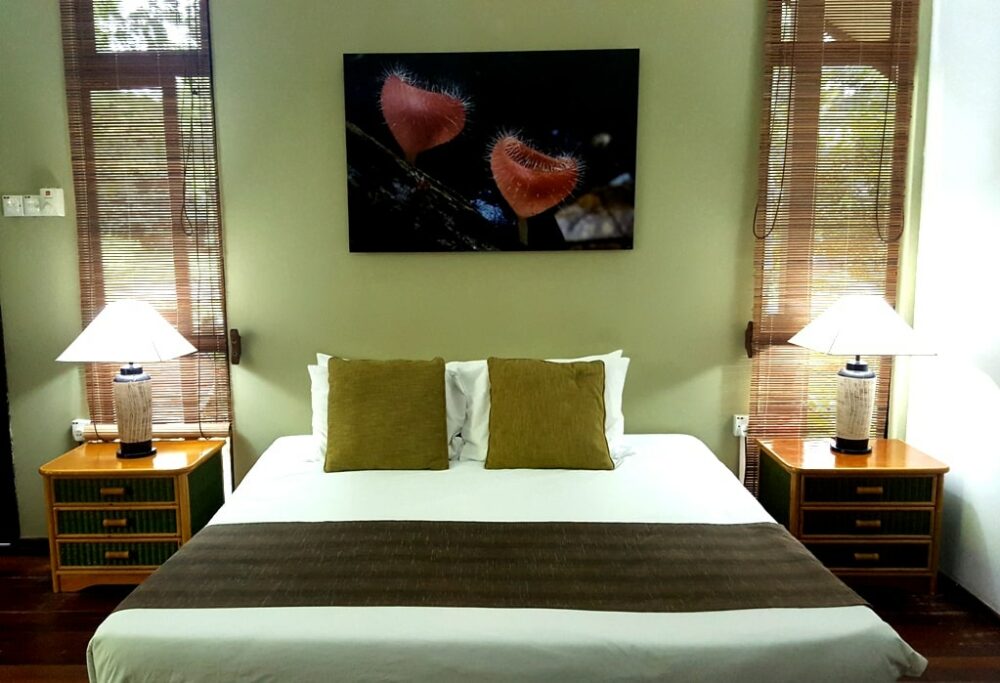 Mulu National Park Headquarters Sarawak Rondreis Malaysia Vakantie Original Asia