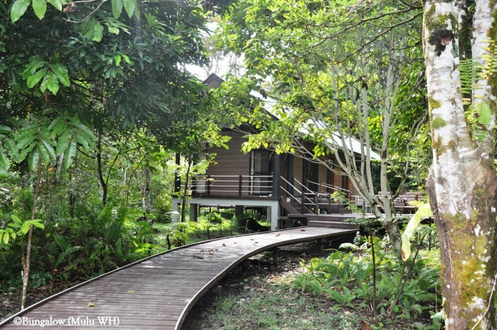 Mulu National Park Headquarters Sarawak Rondreis Malaysia Vakantie Original Asia