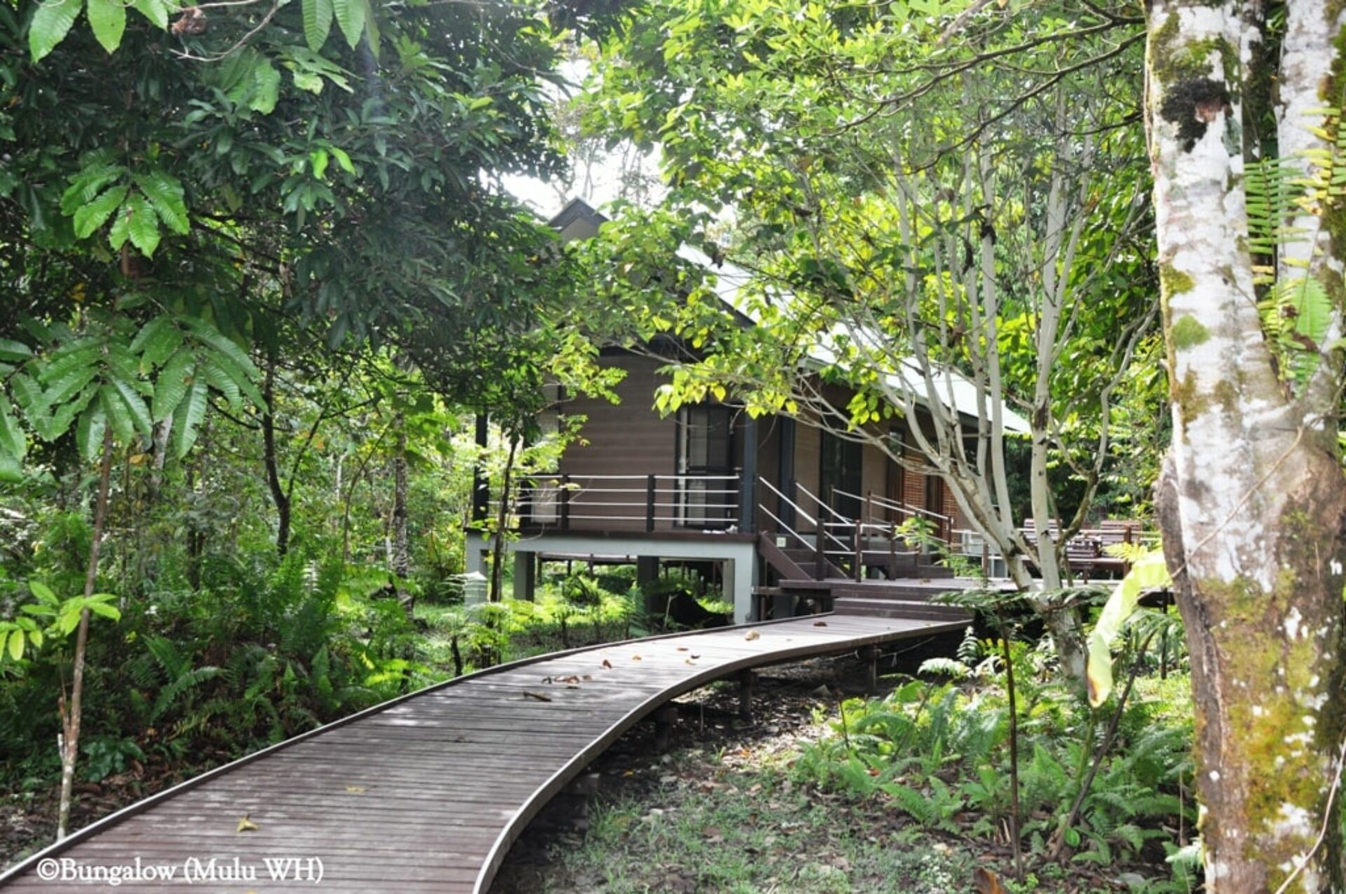 Mulu National Park Headquarters Sarawak Rondreis Malaysia Vakantie Original Asia