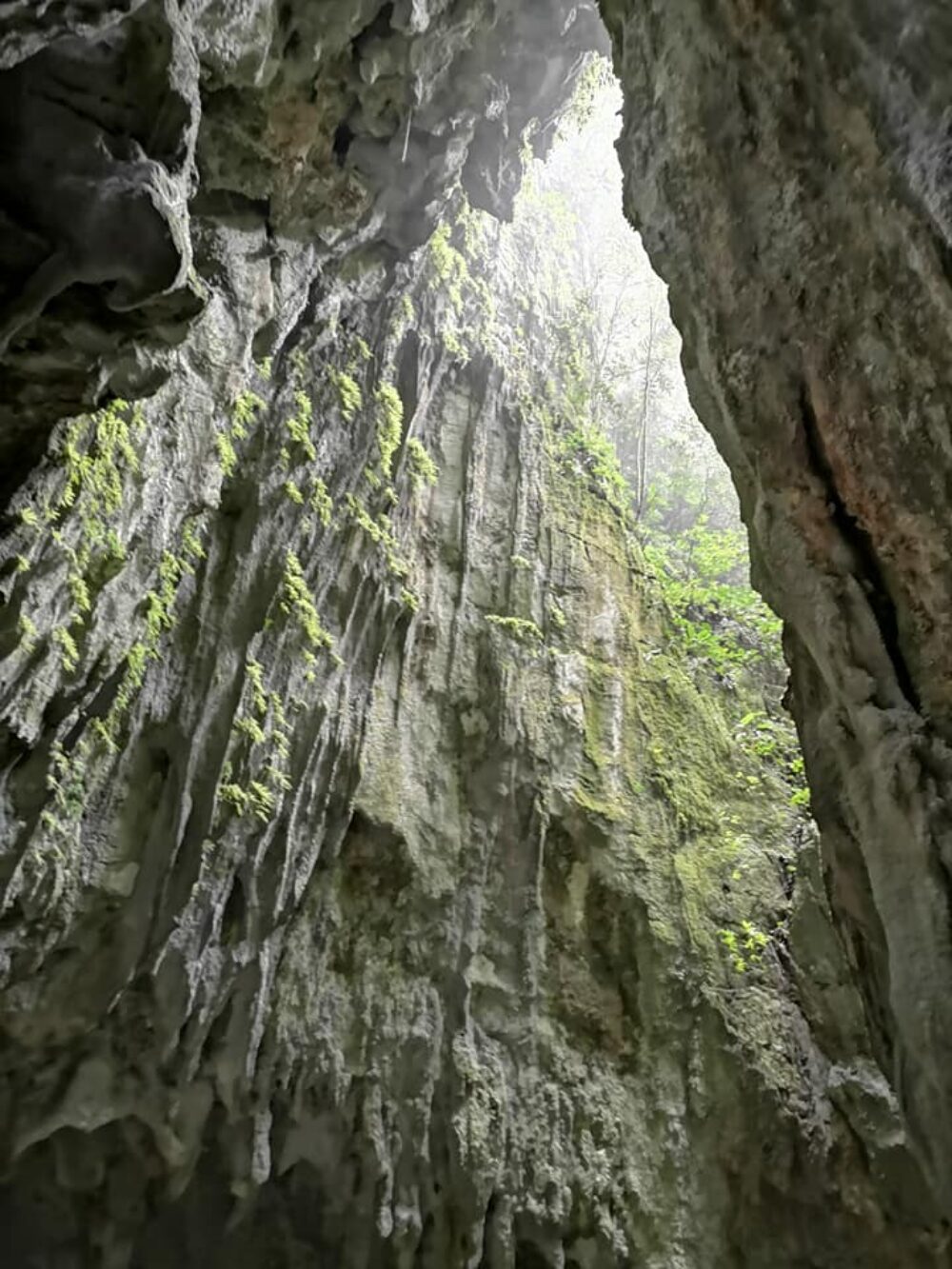 Mulu National Park Headquarters Sarawak Rondreis Malaysia Vakantie Original Asia