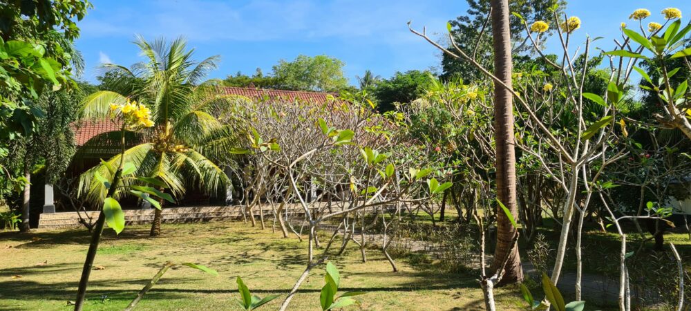 Ring Sameton Resort Hotel Nusa Penida Original Asia Rondreis Bali Vakantie Indonesie beach