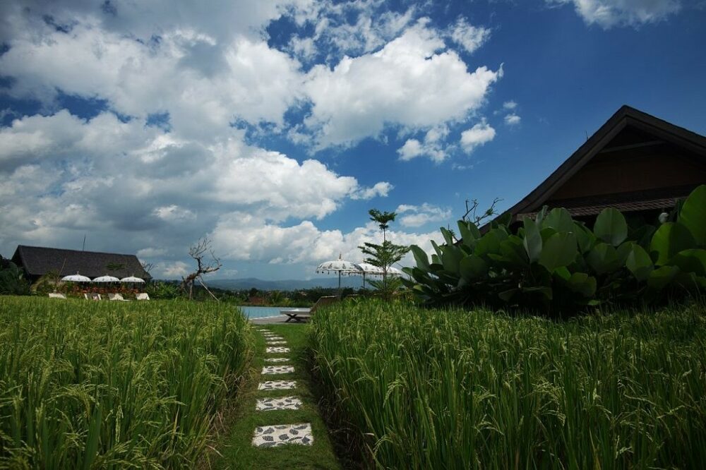 Sanak Retreat Resort Munduk Hotel Original Asia Rondreis Bali Vakantie Indonesia