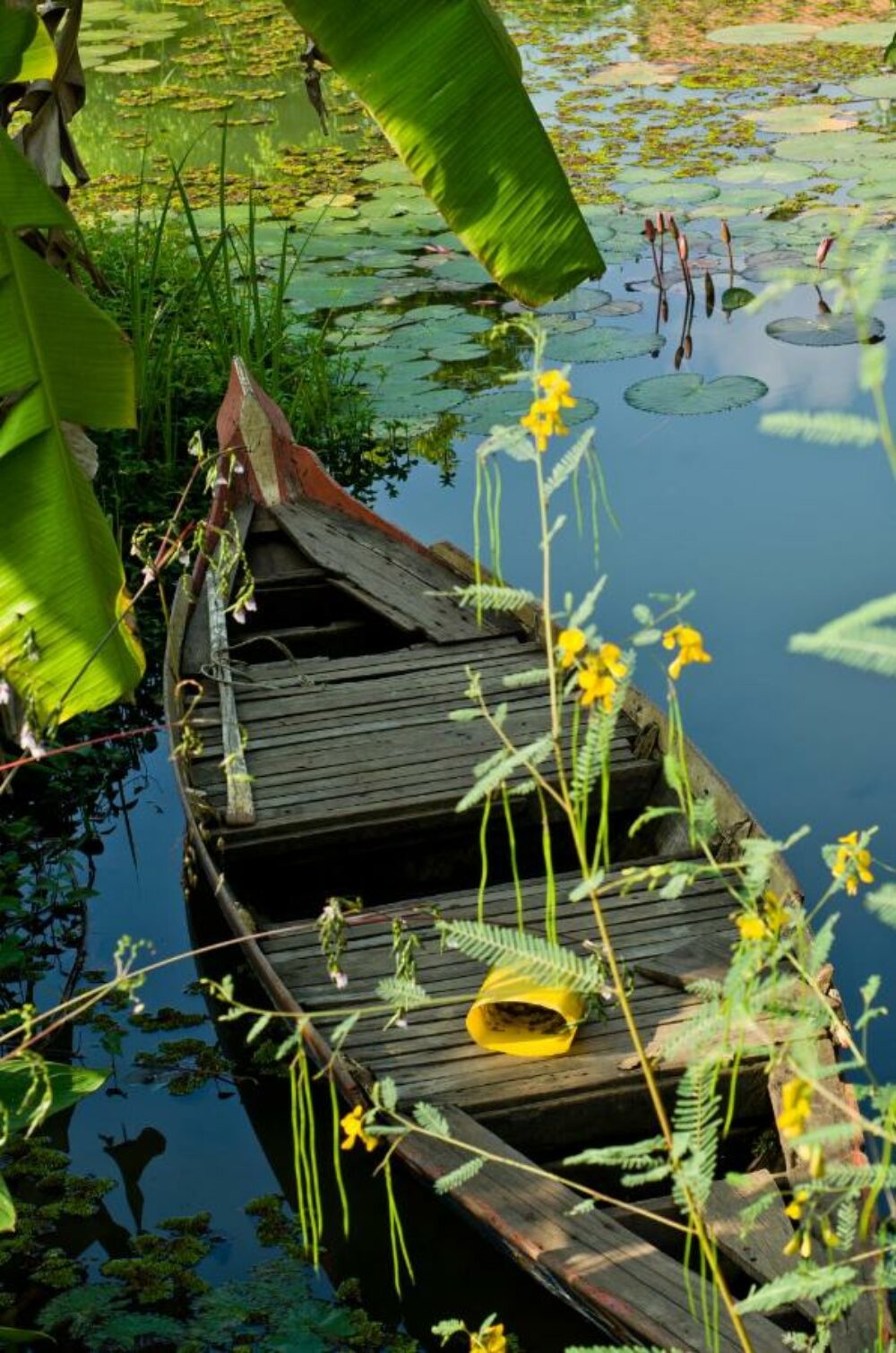 Battambang Resort Battambang Rondreis Cambodia Vakantie Original Asia