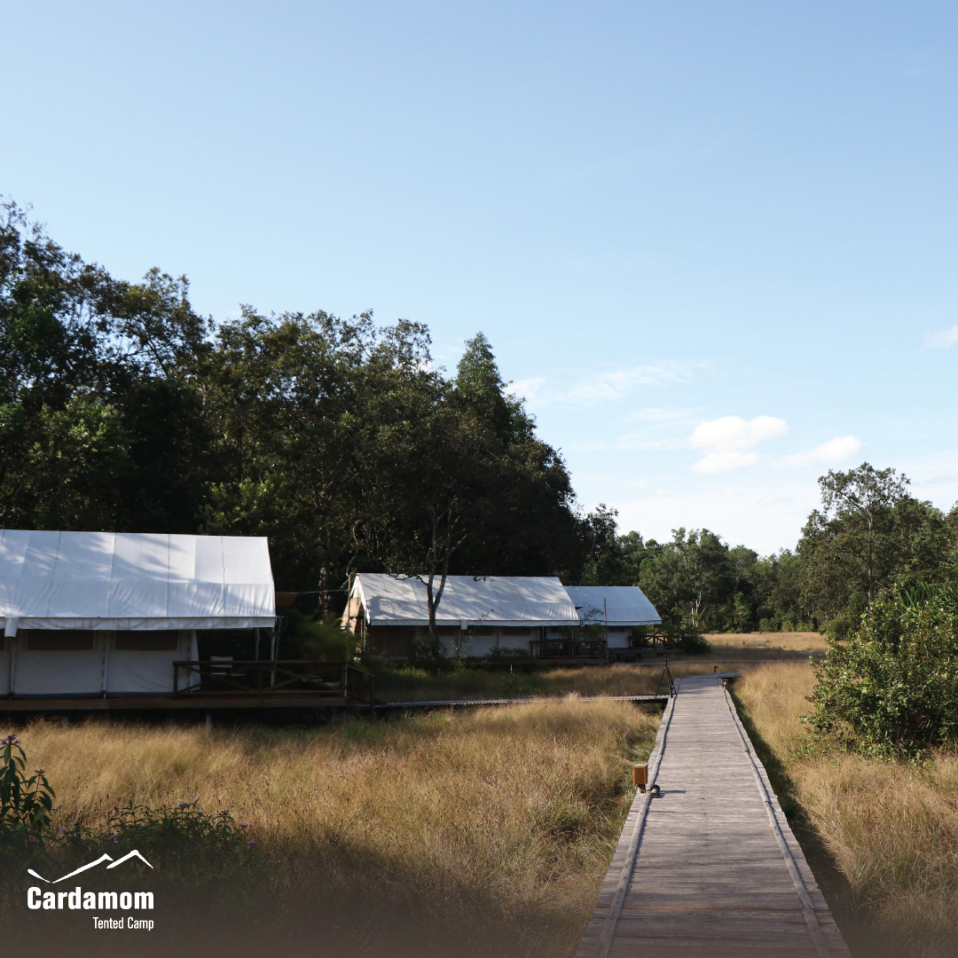 Cardamom Tented Camp Phnom Penh Rondreis Cambodia Vakantie Original Asia