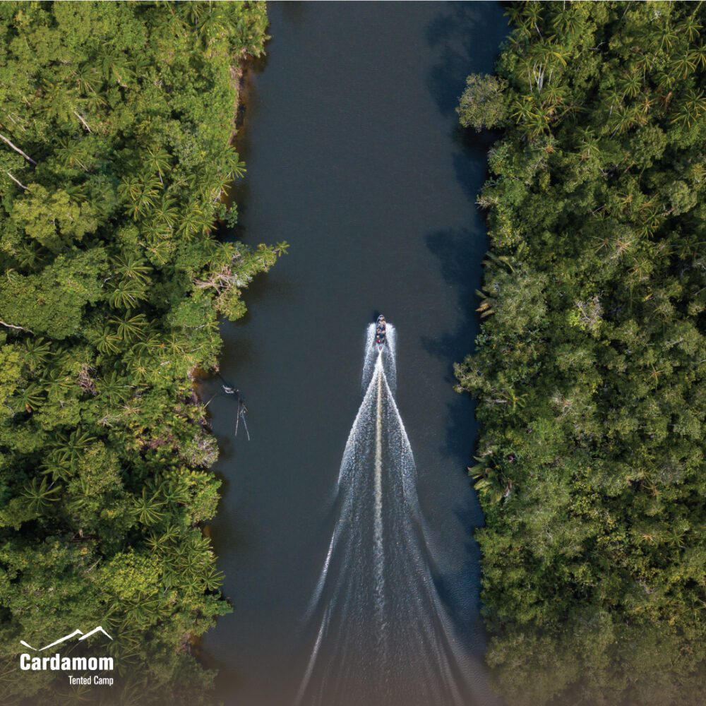 Cardamom Tentend Camp Cardamom Mountain Rondreis Cambodja Original Asia