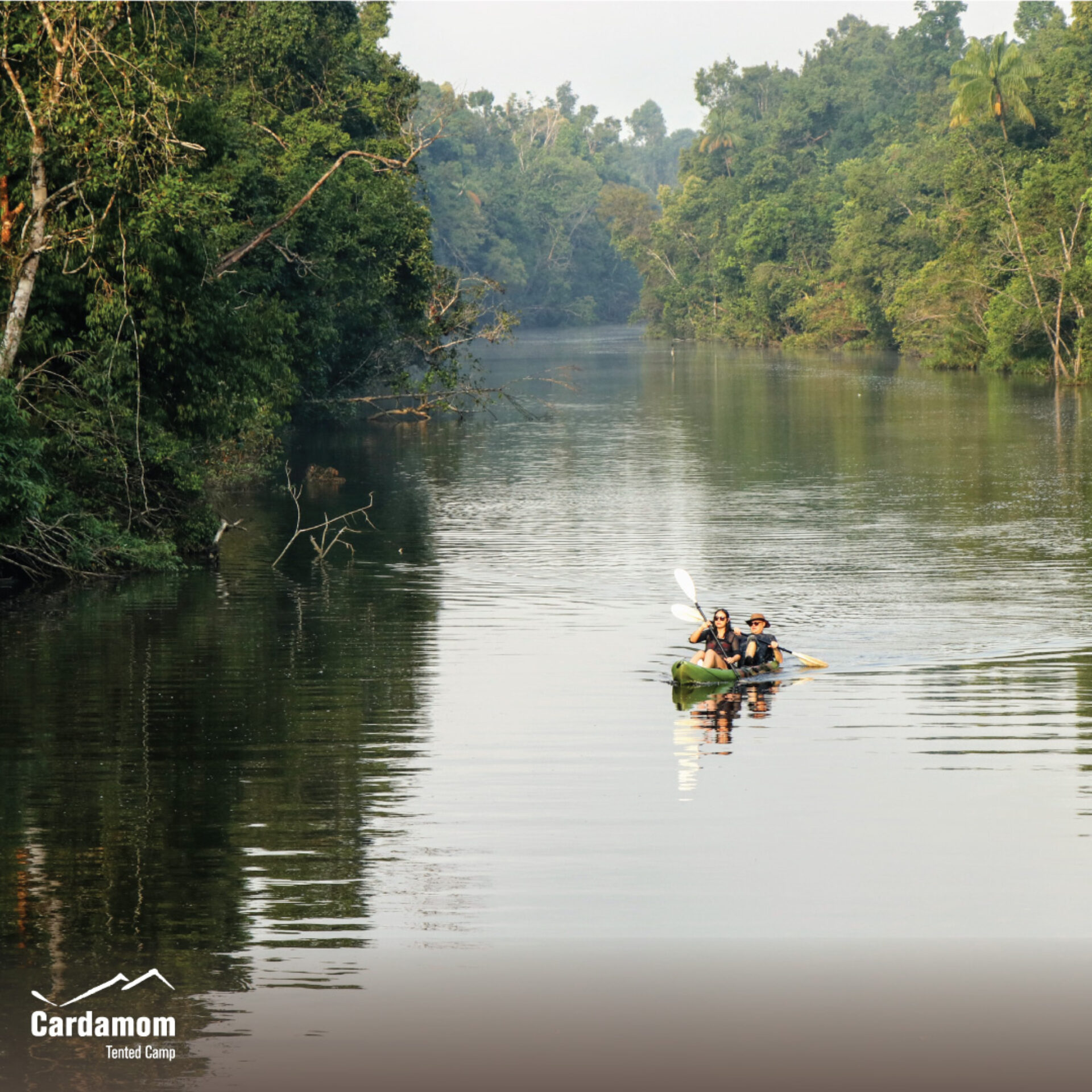 Cardamom Tentend Camp Cardamom Mountain Rondreis Cambodja Original Asia