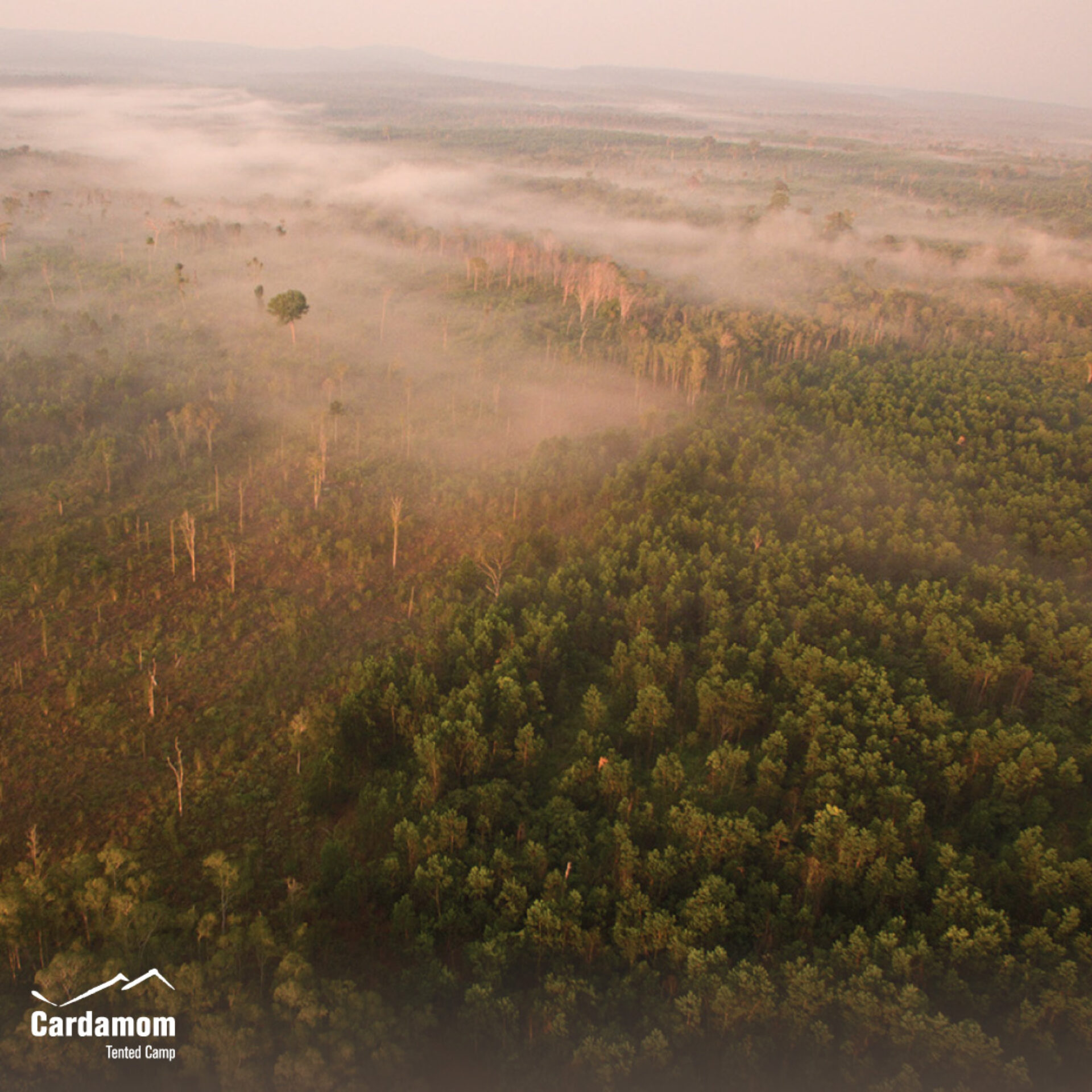 Cardamom Tentend Camp Cardamom Mountain Rondreis Cambodja Original Asia