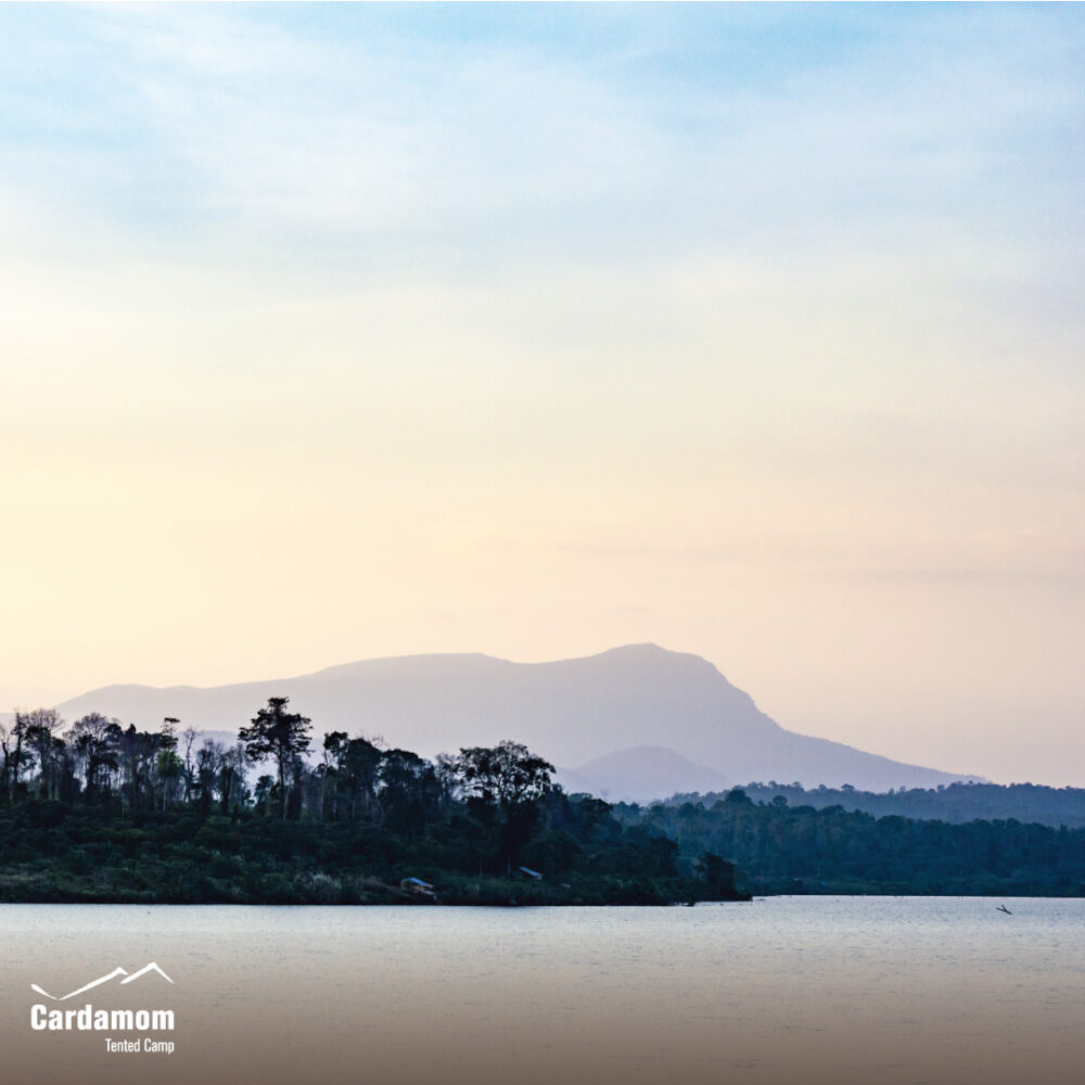 Cardamom Tentend Camp Cardamom Mountain Rondreis Cambodja Original Asia