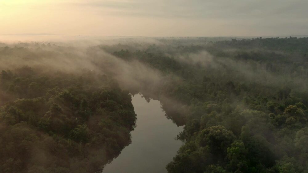 Cardamom Tentend Camp Cardamom Mountain Rondreis Cambodja Original Asia
