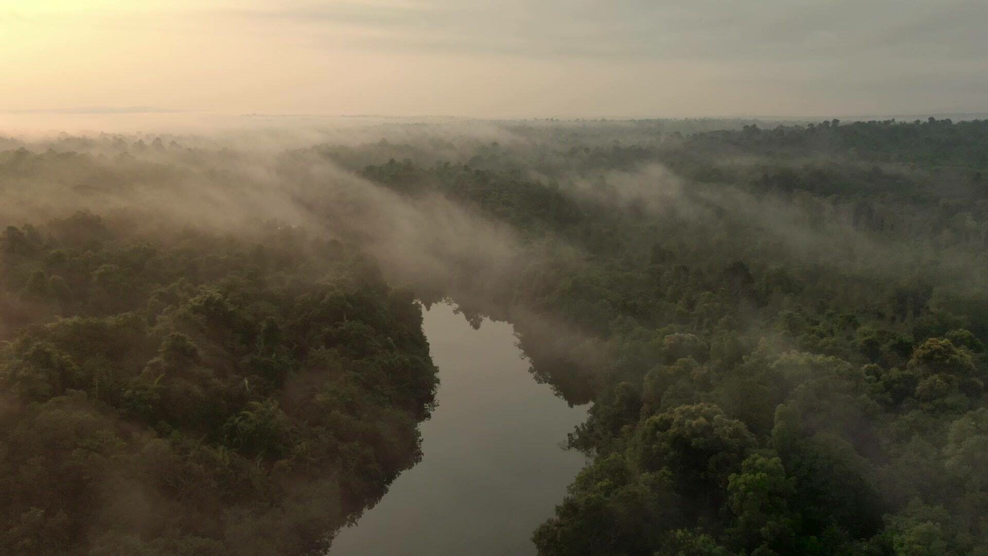 Cardamom Tentend Camp Cardamom Mountain Rondreis Cambodja Original Asia