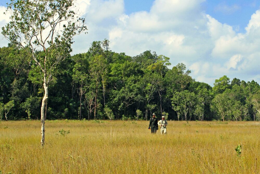 Cardamom Tentend Camp Cardamom Mountain Rondreis Cambodja Original Asia