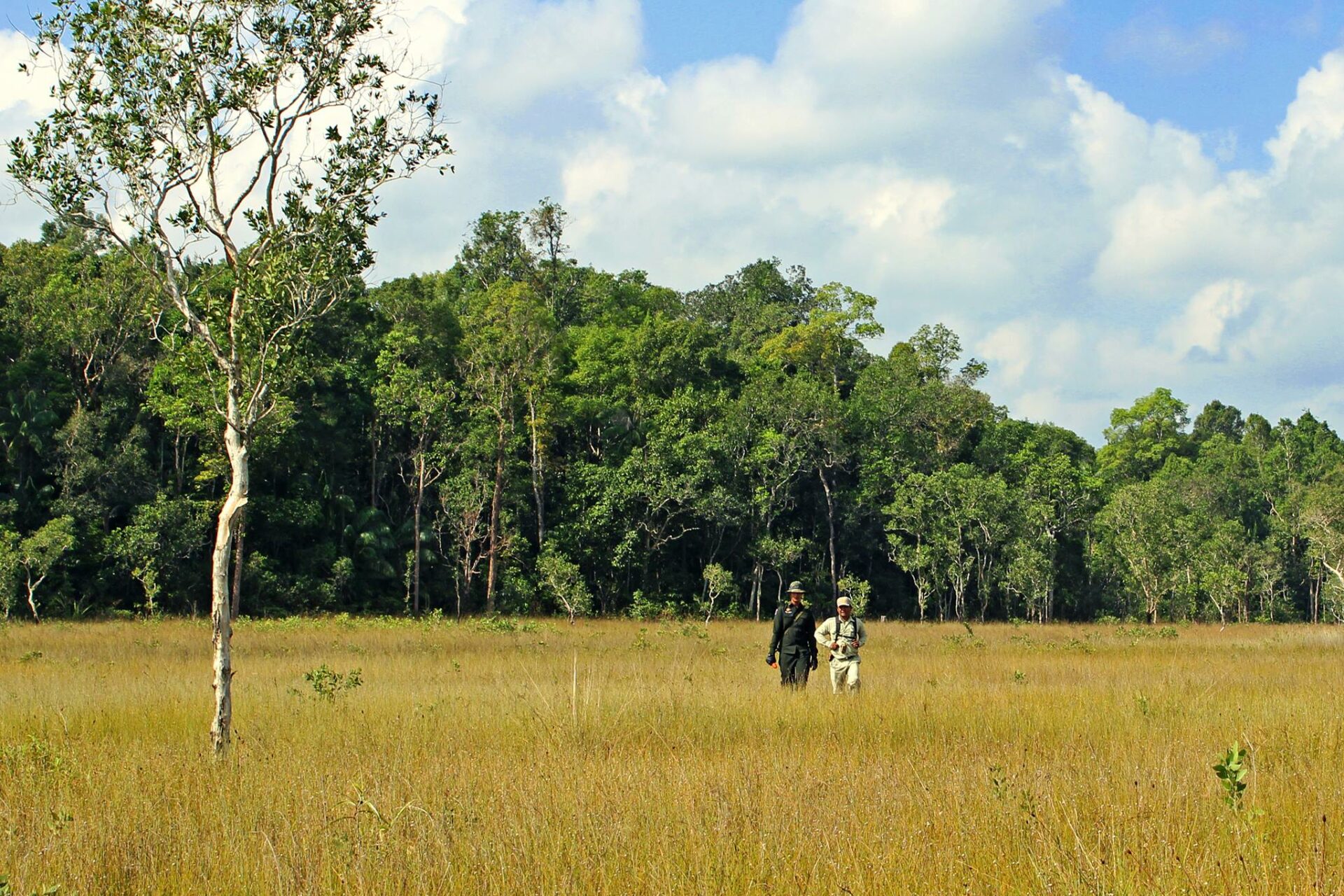 Cardamom Tentend Camp Cardamom Mountain Rondreis Cambodja Original Asia