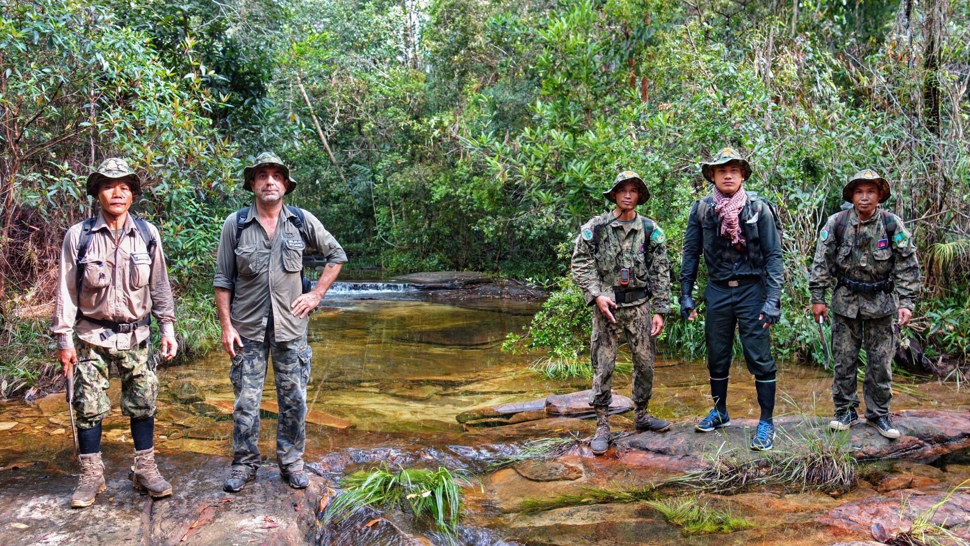 Cardamom Tentend Camp Cardamom Mountain Rondreis Cambodja Original Asia