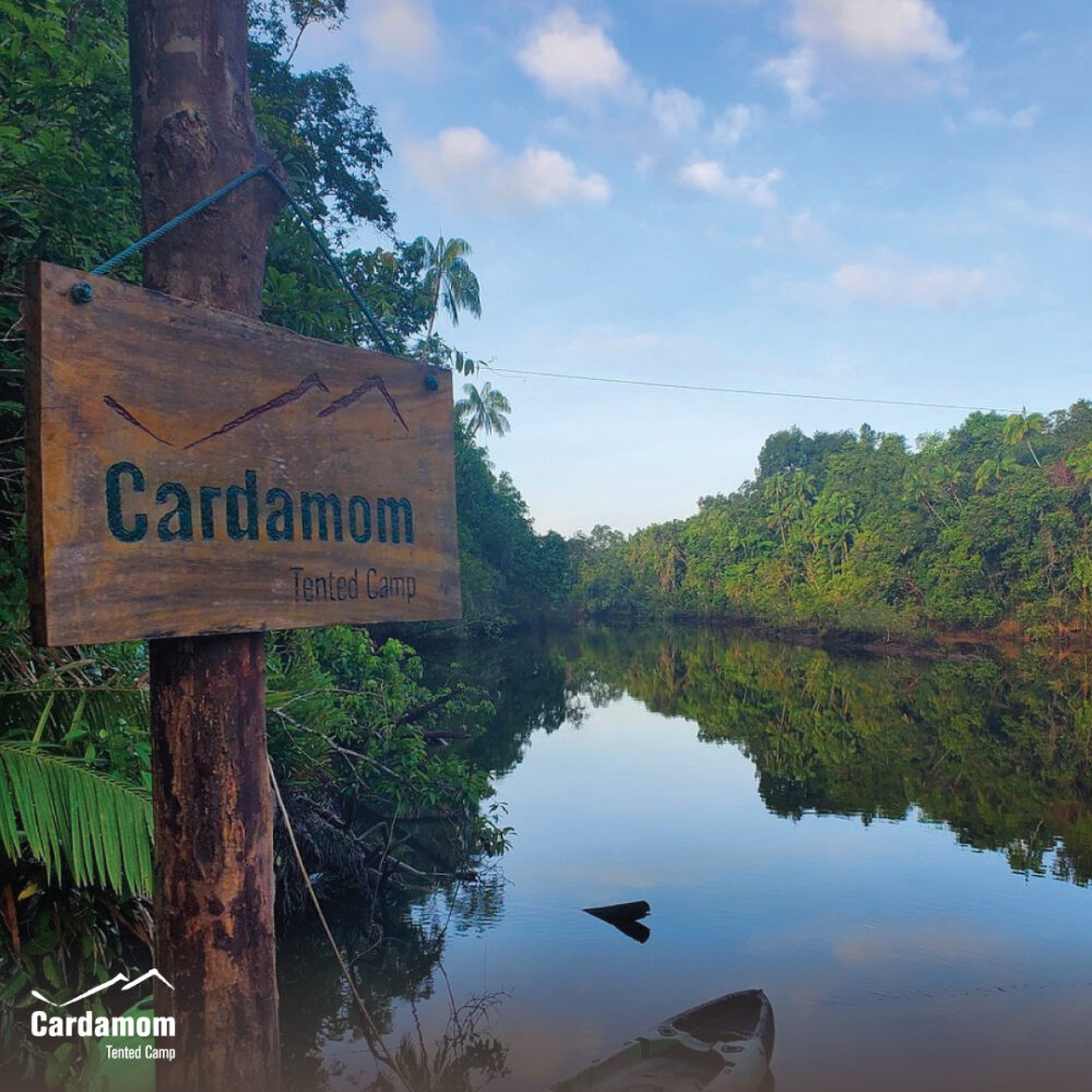 Cardamom Tentend Camp Cardamom Mountain Rondreis Cambodja Original Asia