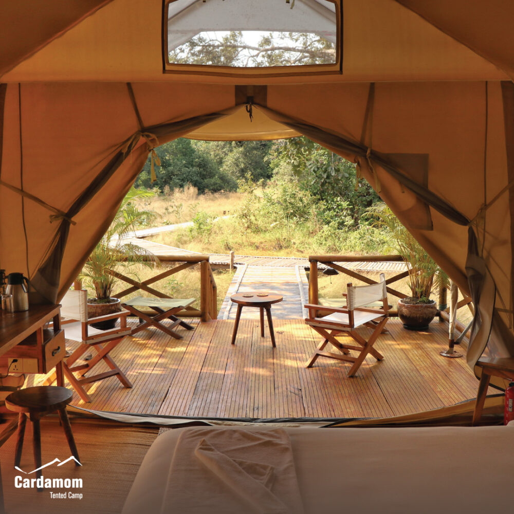 Cardamom Tentend Camp Cardamom Mountain Rondreis Cambodja Original Asia