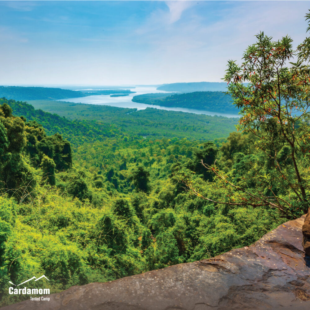 Cardamom Tentend Camp Cardamom Mountain Rondreis Cambodja Original Asia