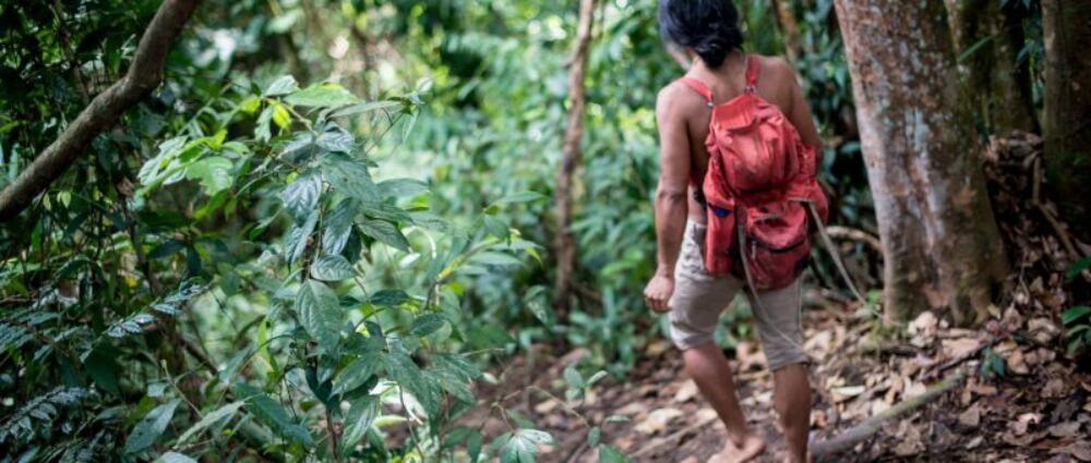 Ecolodge Bukit Lawang Cottages Sumatra Rondreis Indonesia Vakantie Original Asia