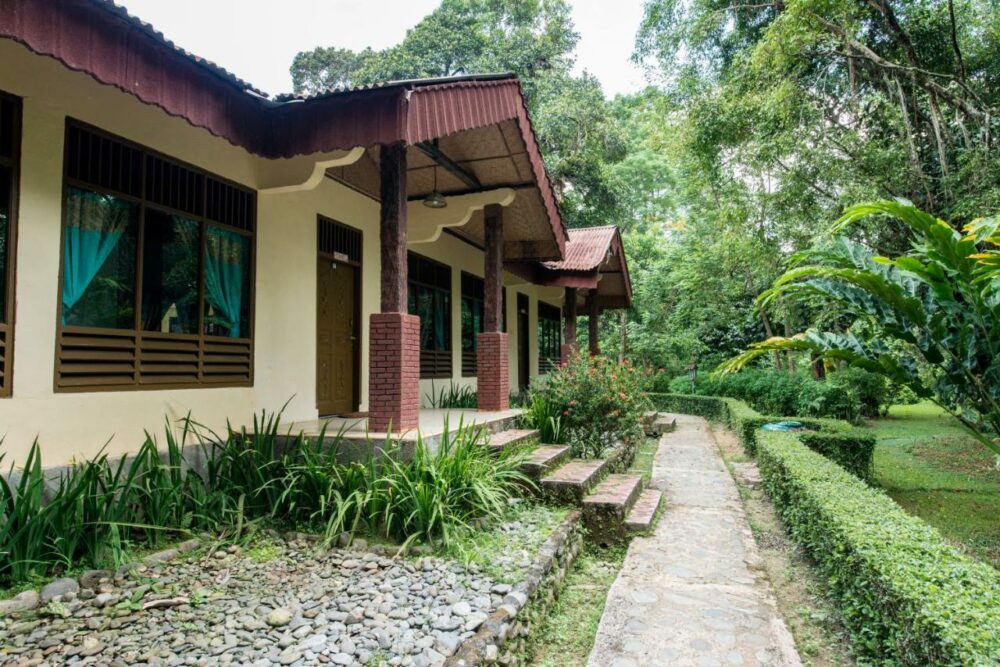 Ecolodge Bukit Lawang Cottages Sumatra Rondreis Indonesia Vakantie Original Asia