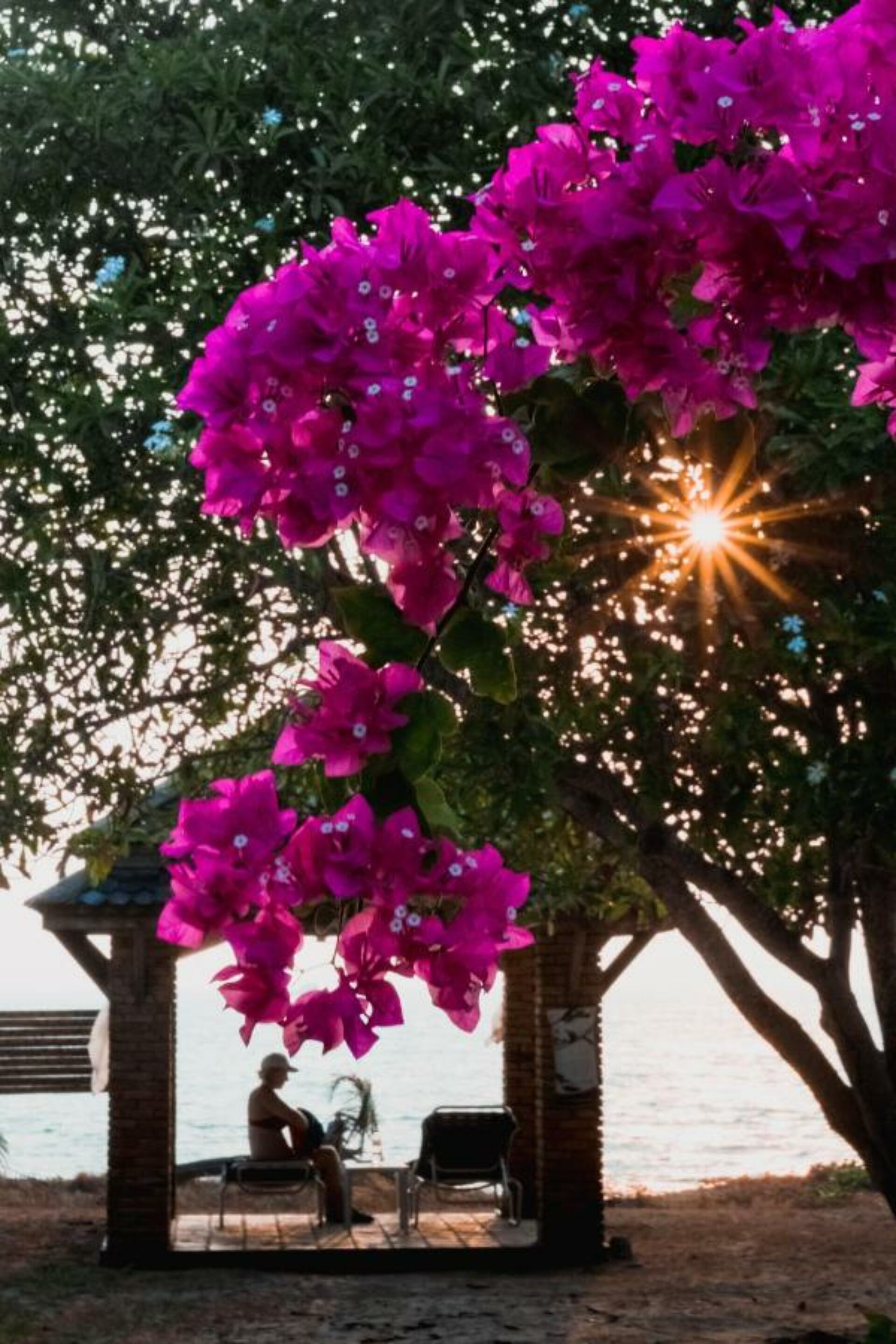 Frangipani Langkawi Resort Langkawi Rondreis Malaysia Vakantie Original Asia