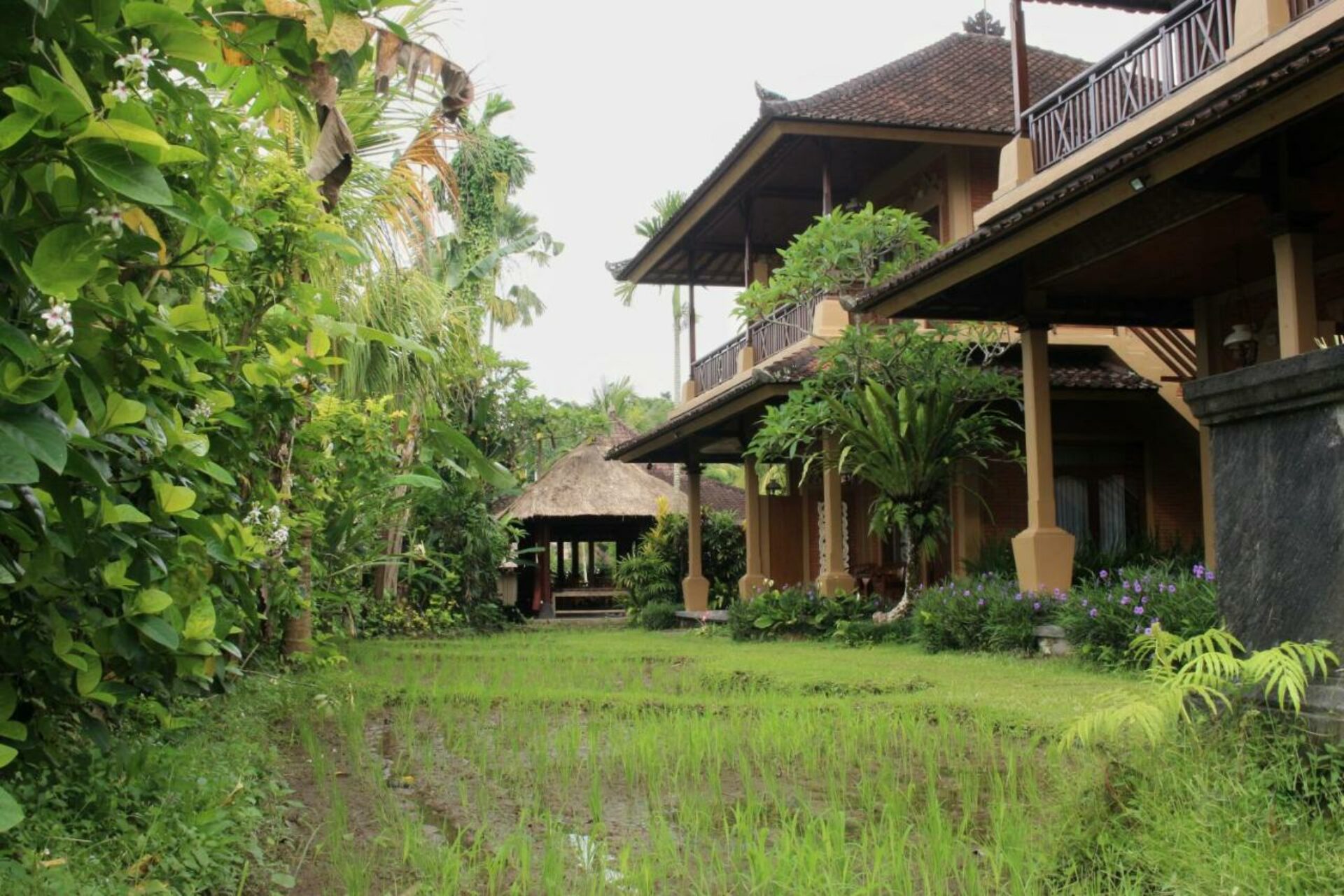 Hotel Saren Indah Ubud Resort Original Asia Rondreis Bali vakantie Indonesie