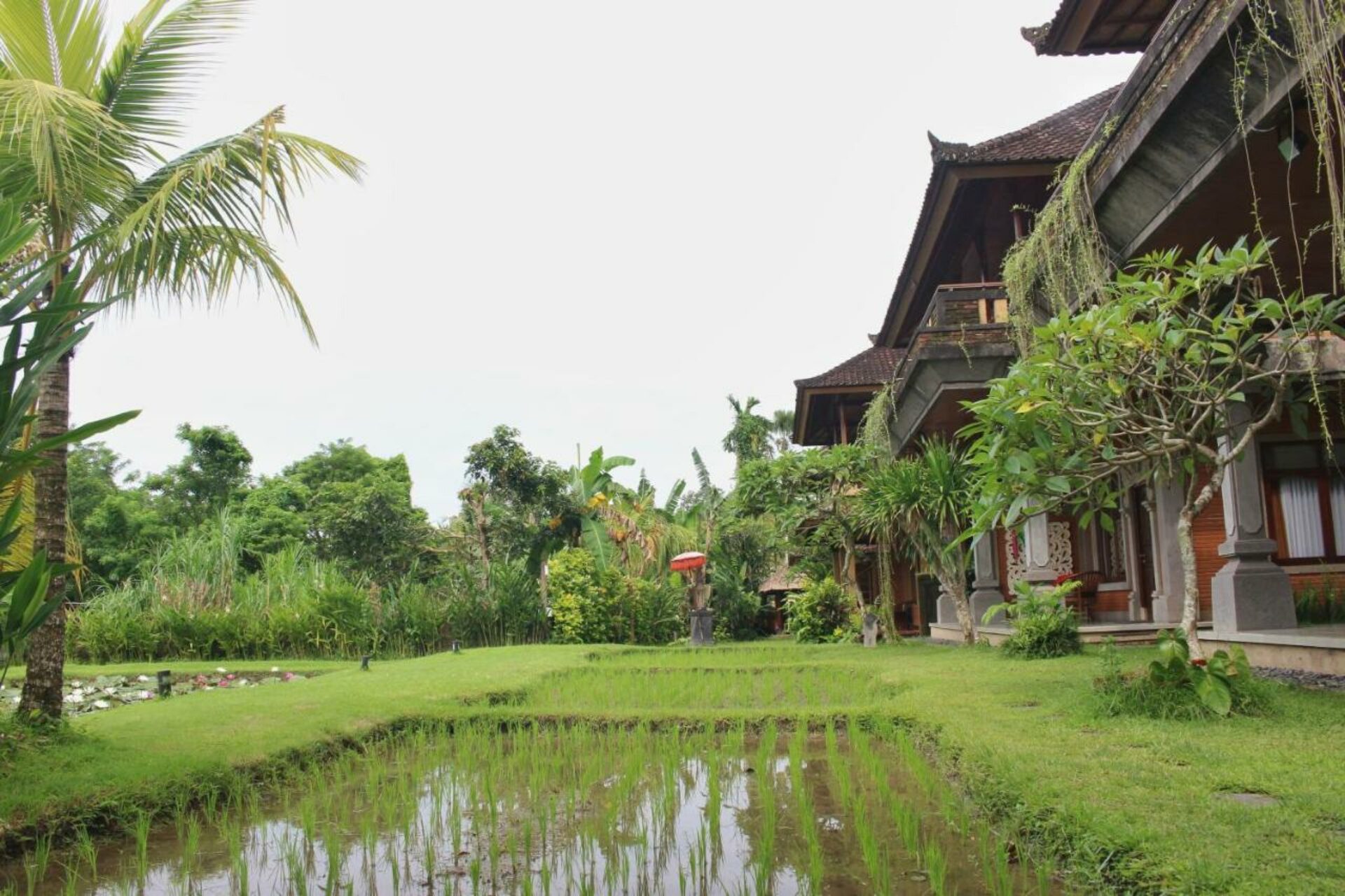 Hotel Saren Indah Ubud Resort Original Asia Rondreis Bali vakantie Indonesie