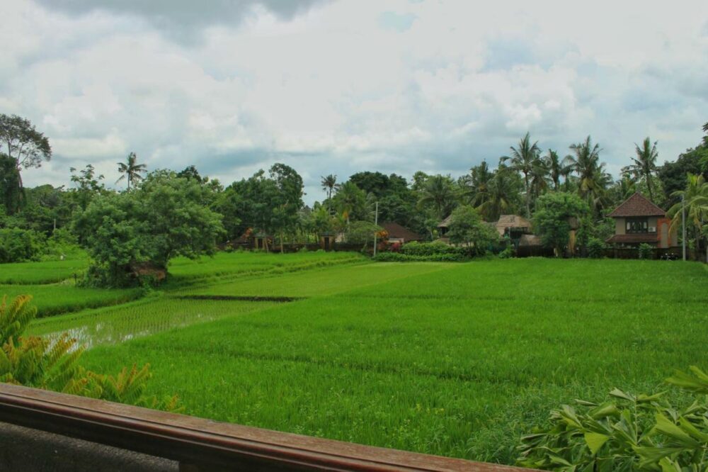 Hotel Saren Indah Ubud Resort Original Asia Rondreis Bali vakantie Indonesie